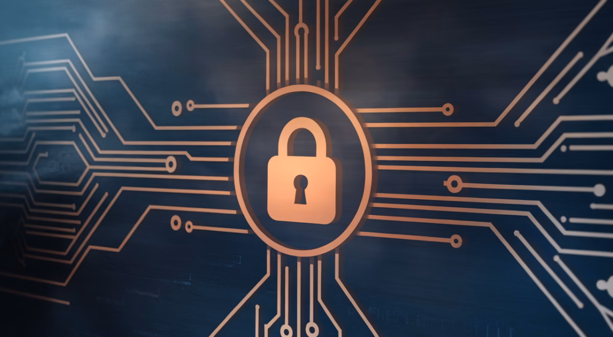 Choosing the Best SSL Certificate for Your Website